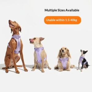 Breathable And Comfortable Dog Harness Vest