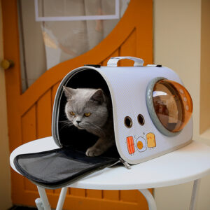 Portable Pet Carry Bag Transparent